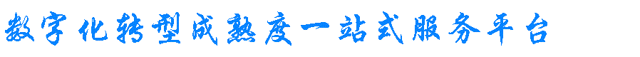 数字化转型成熟度（dlmm）一站式服务平台